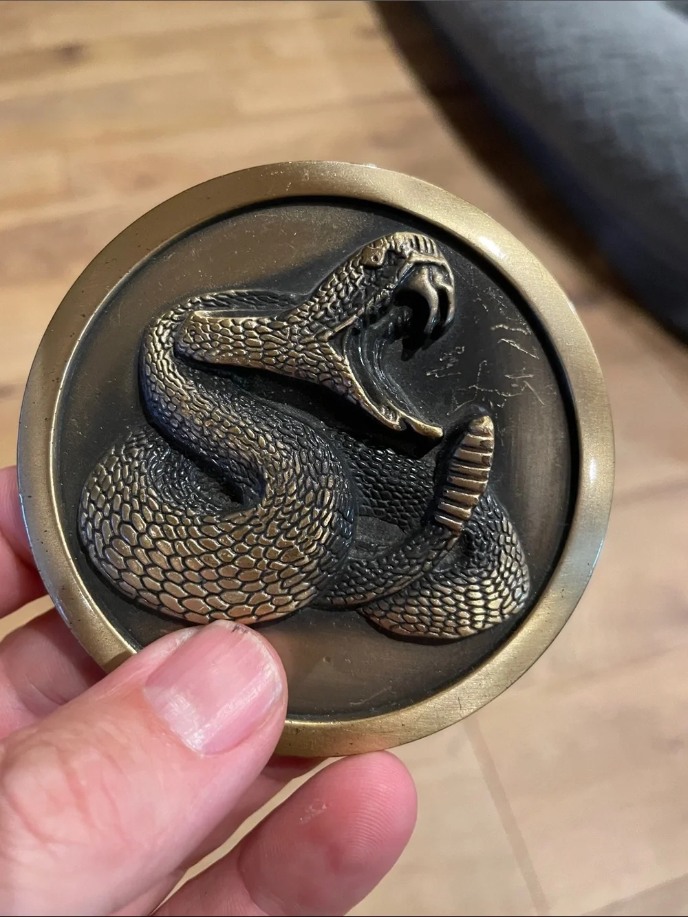 Antique Bronze Snake Accent Belt Buckle- Gold & Black rattlesnake